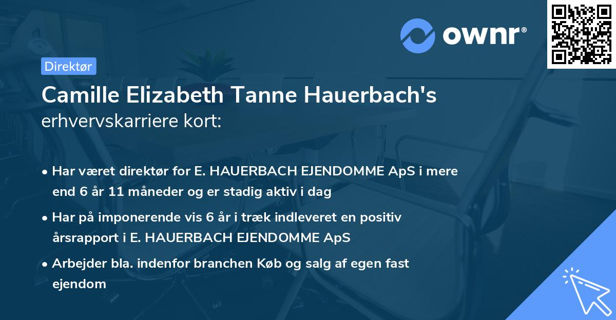 Camille Elizabeth Tanne Hauerbach's erhvervskarriere kort