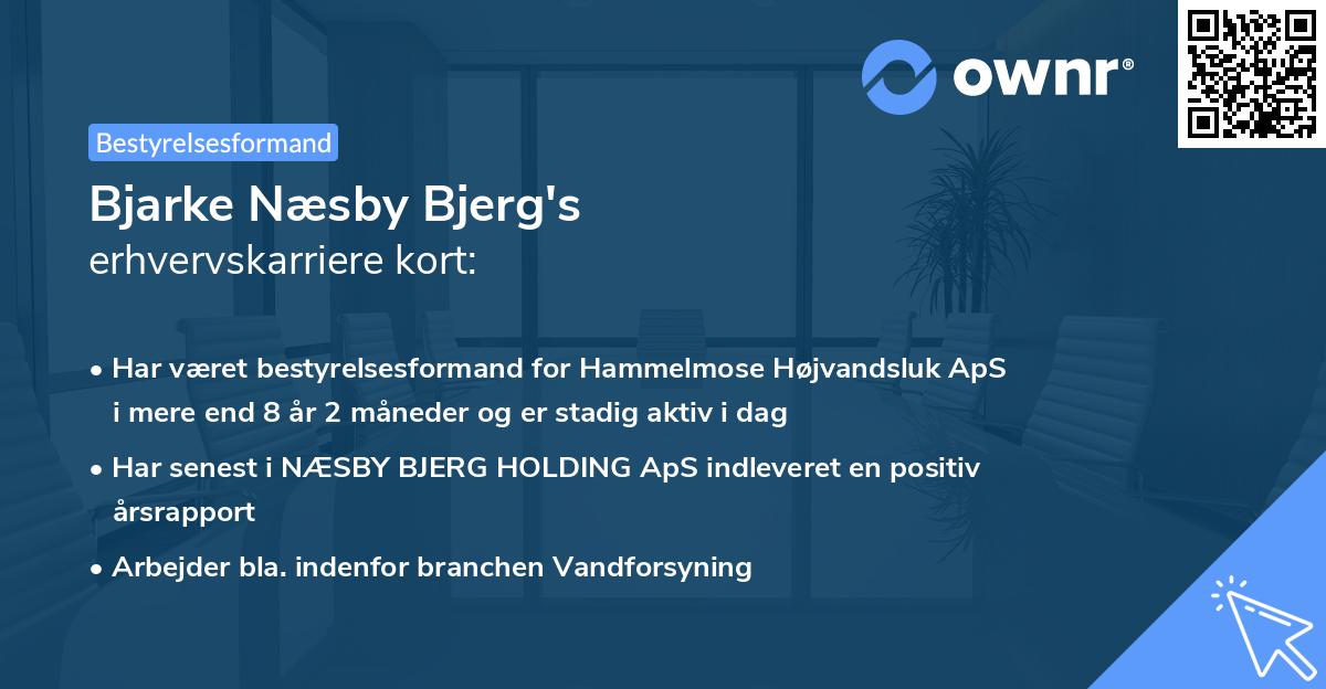 Bjarke Næsby Bjerg's erhvervskarriere kort