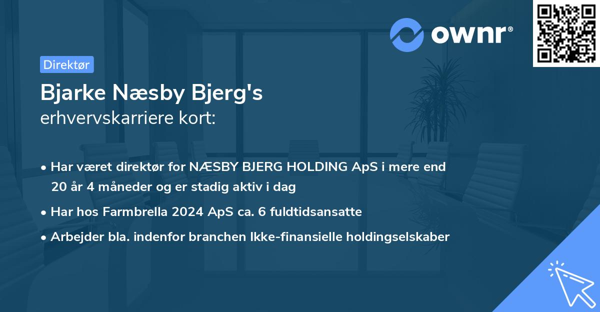 Bjarke Næsby Bjerg's erhvervskarriere kort