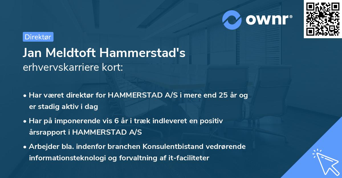 Jan Meldtoft Hammerstad's erhvervskarriere kort