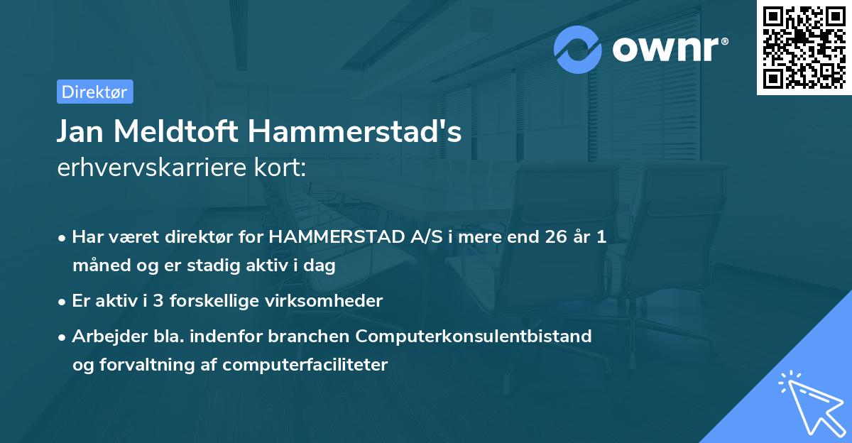 Jan Meldtoft Hammerstad's erhvervskarriere kort