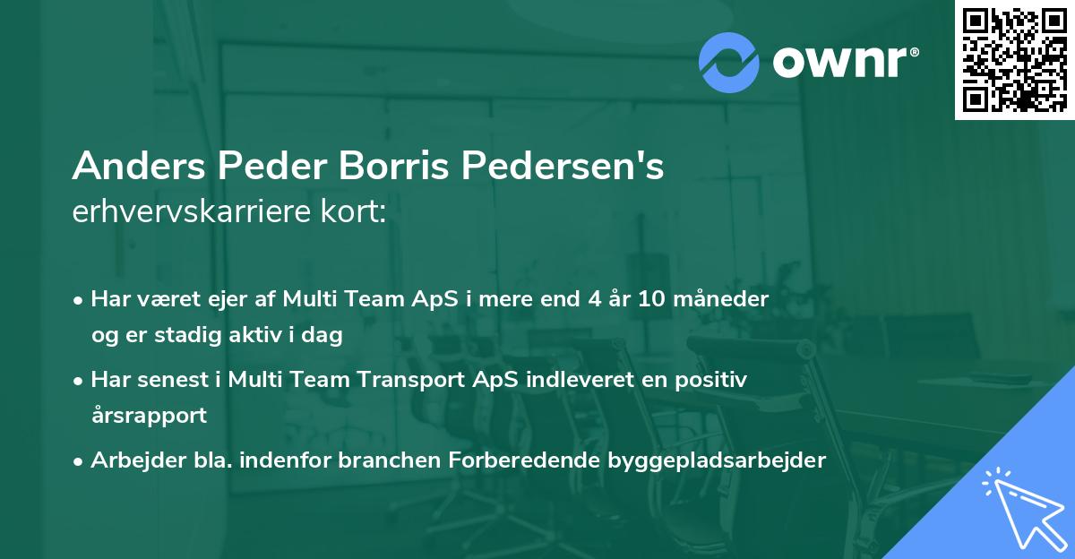 Anders Peder Borris Pedersen's erhvervskarriere kort