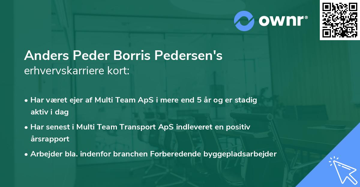 Anders Peder Borris Pedersen's erhvervskarriere kort