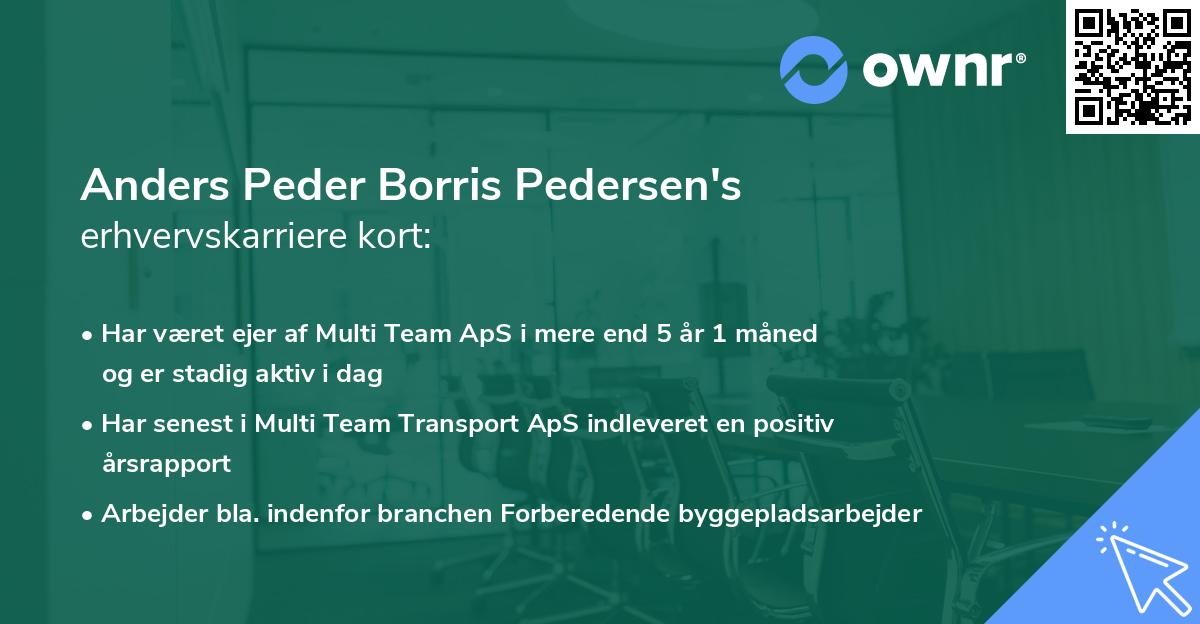 Anders Peder Borris Pedersen's erhvervskarriere kort