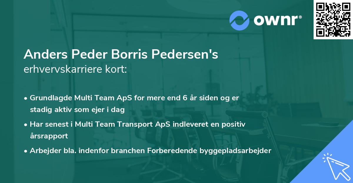 Anders Peder Borris Pedersen's erhvervskarriere kort