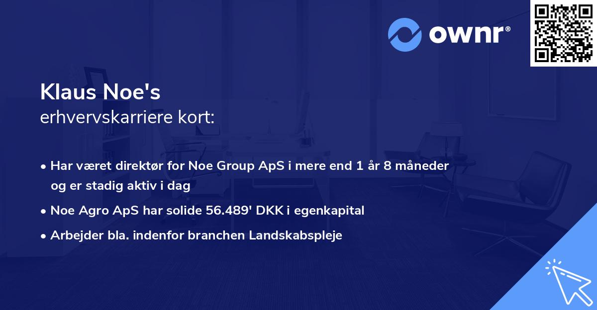 Klaus Noe's erhvervskarriere kort