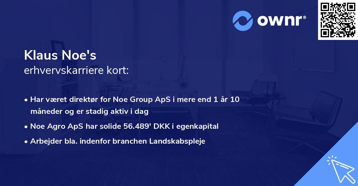 Klaus Noe's erhvervskarriere kort