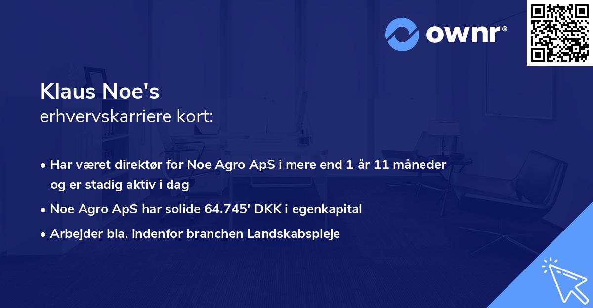 Klaus Noe's erhvervskarriere kort
