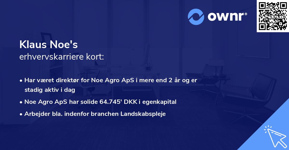Klaus Noe's erhvervskarriere kort
