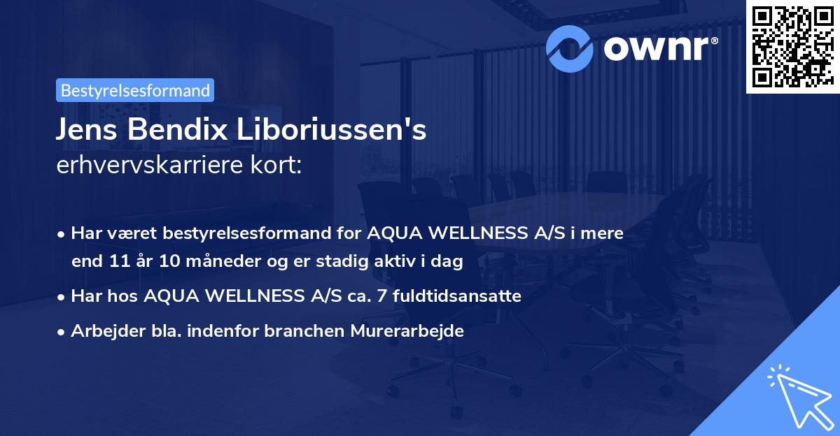 Jens Bendix Liboriussen's erhvervskarriere kort