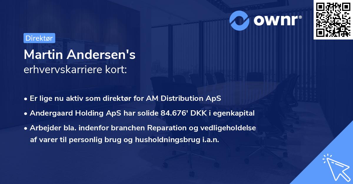 Martin Andersen's erhvervskarriere kort