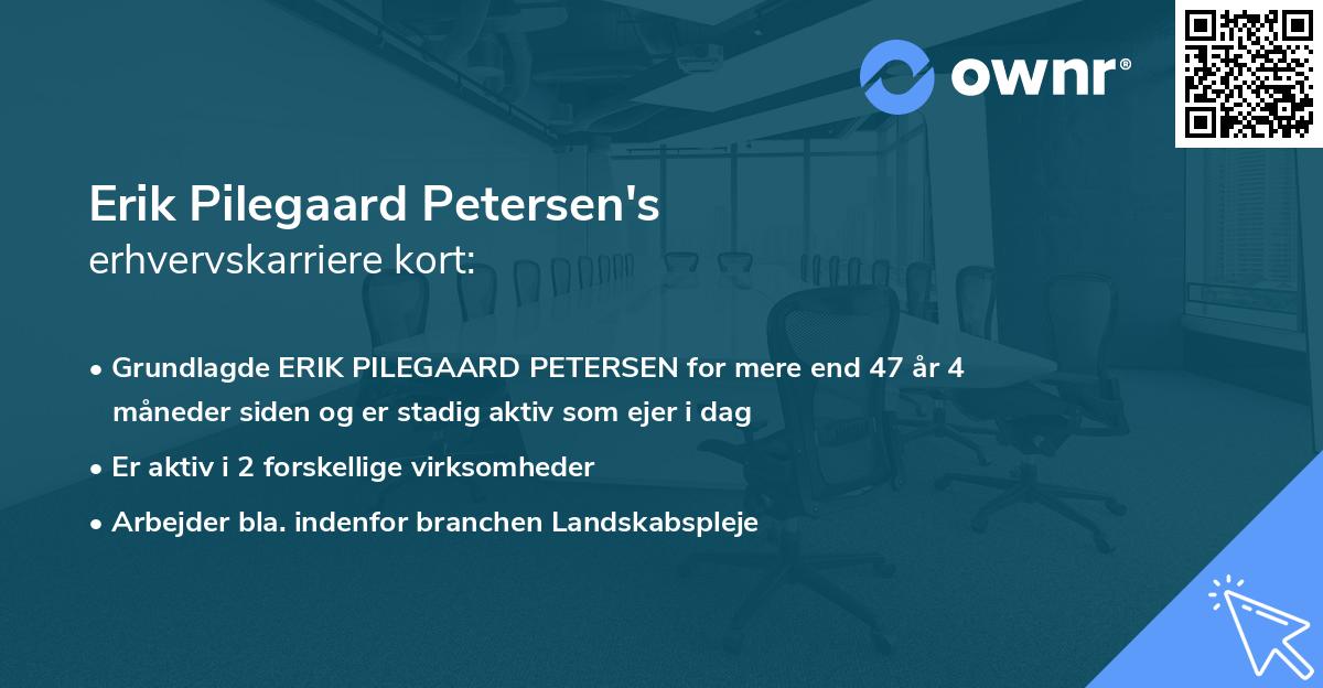 Erik Pilegaard Petersen's erhvervskarriere kort