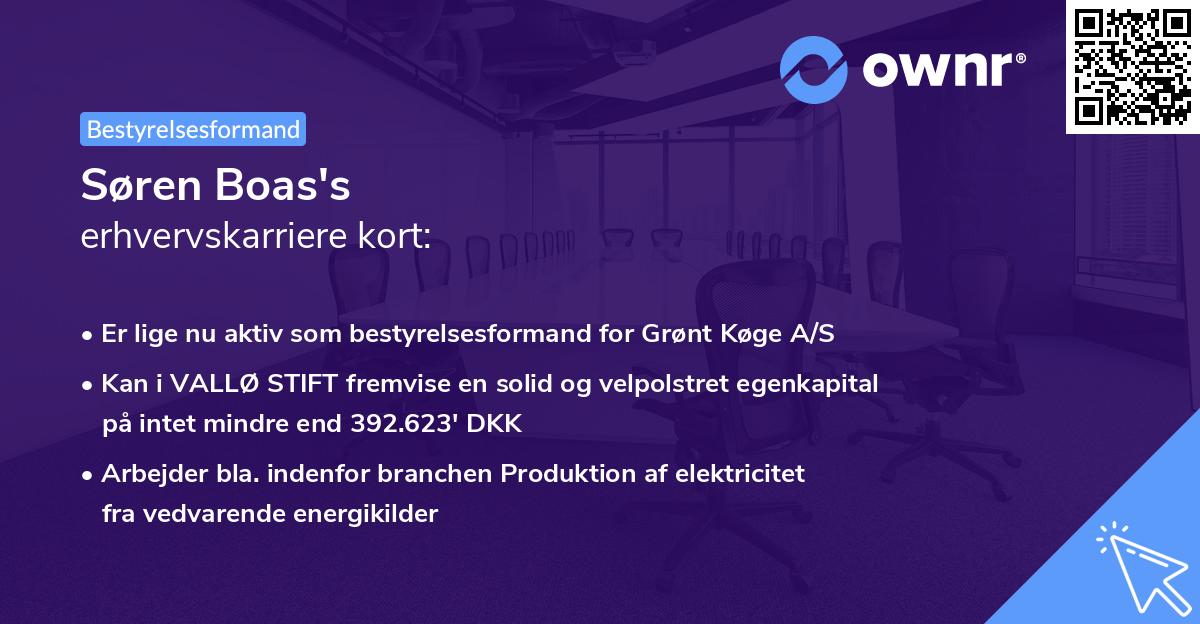 Søren Boas's erhvervskarriere kort
