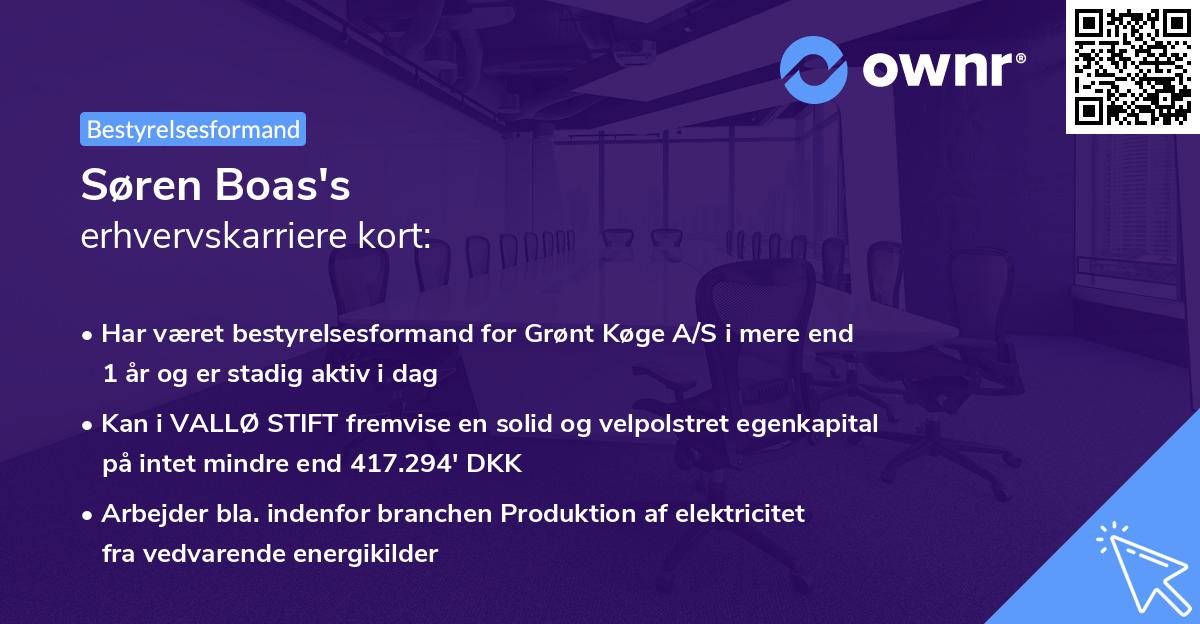 Søren Boas's erhvervskarriere kort