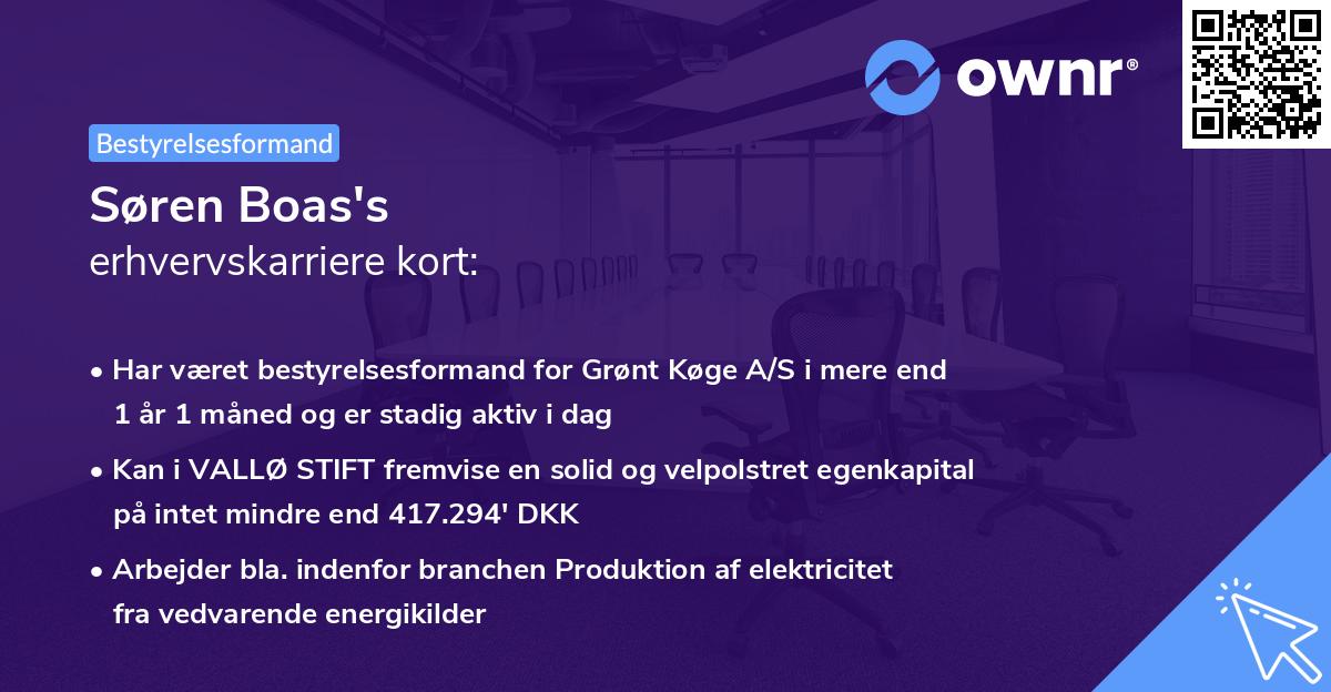 Søren Boas's erhvervskarriere kort