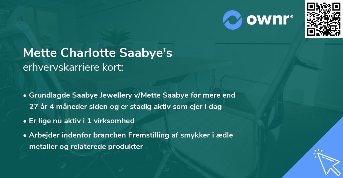 Mette Charlotte Saabye's erhvervskarriere kort