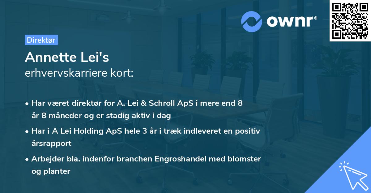 Annette Lei's erhvervskarriere kort