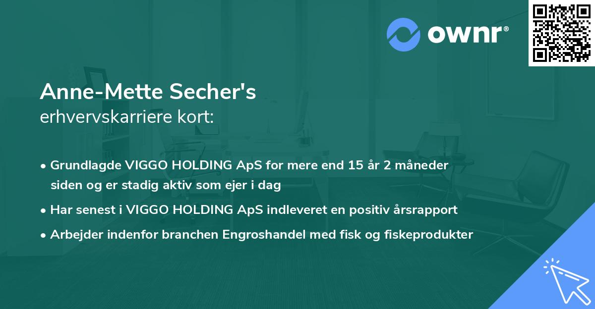 Anne-Mette Secher's erhvervskarriere kort