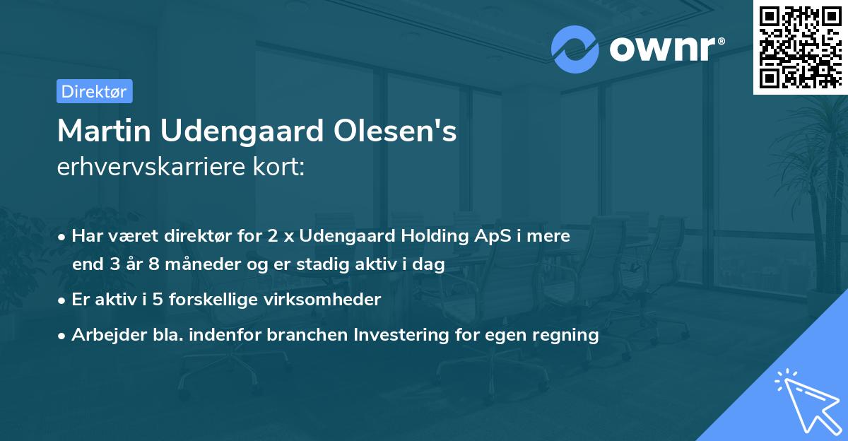 Martin Udengaard Olesen's erhvervskarriere kort