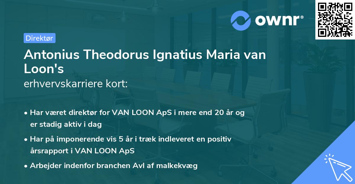 Antonius Theodorus Ignatius Maria van Loon's erhvervskarriere kort