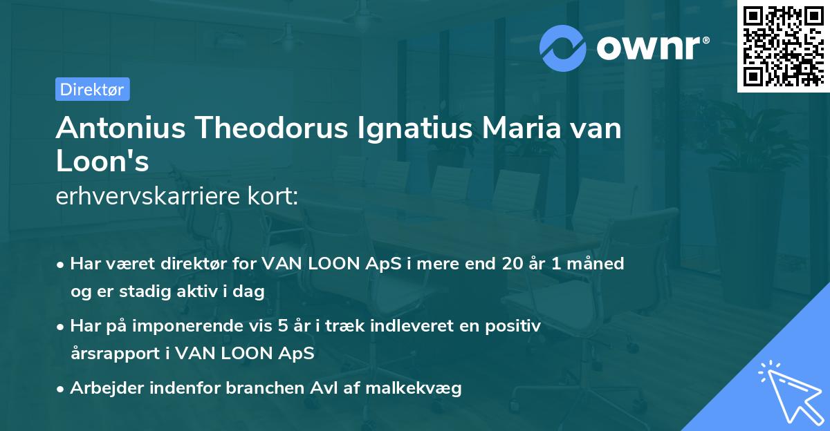 Antonius Theodorus Ignatius Maria van Loon's erhvervskarriere kort