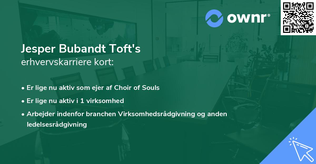 Jesper Bubandt Toft's erhvervskarriere kort