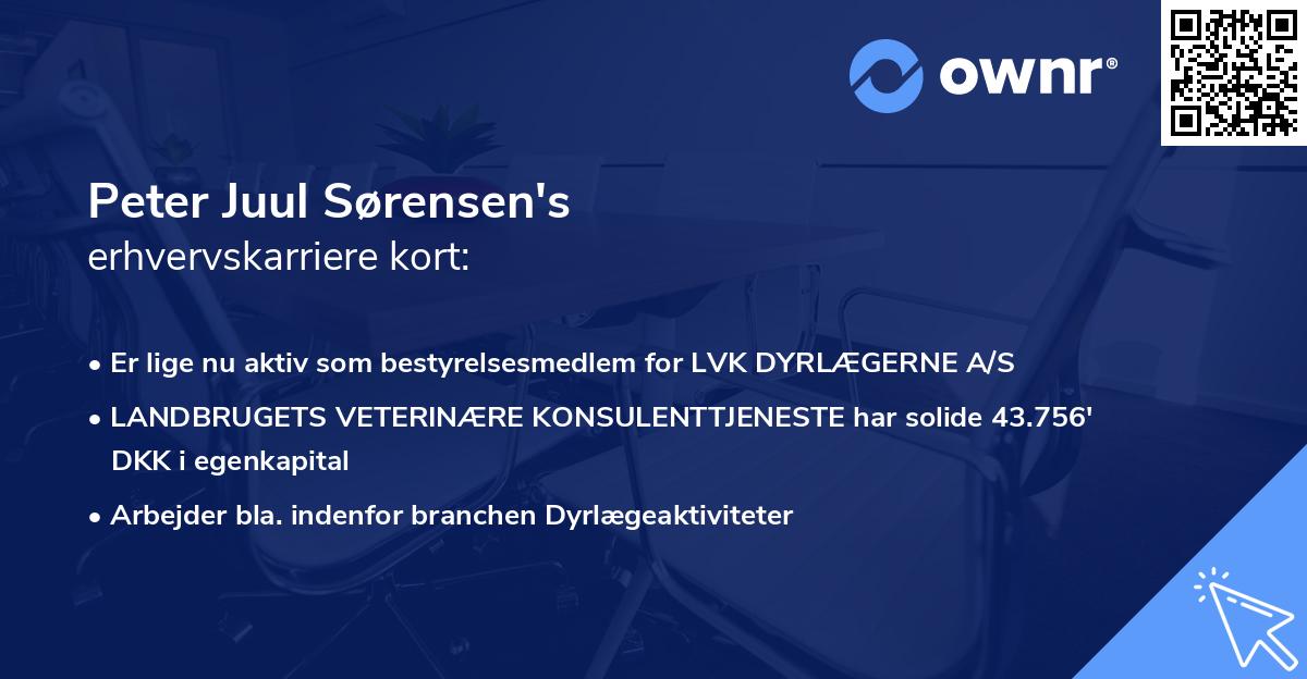 Peter Juul Sørensen's erhvervskarriere kort