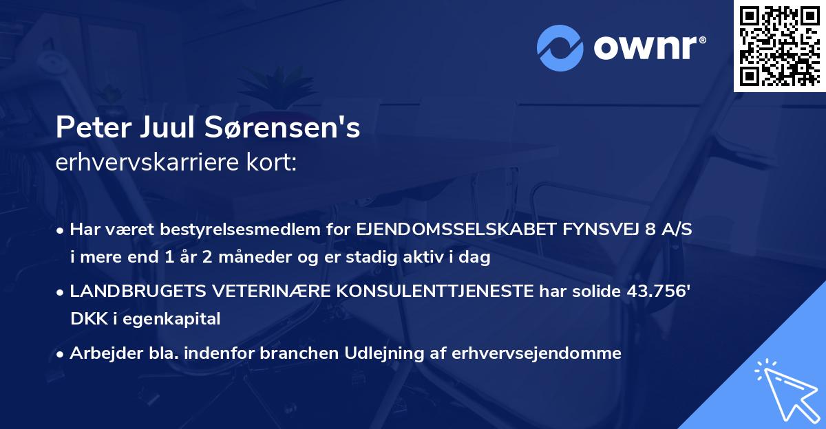 Peter Juul Sørensen's erhvervskarriere kort