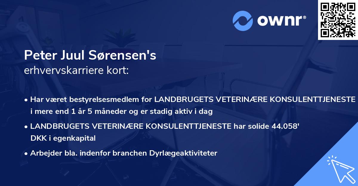 Peter Juul Sørensen's erhvervskarriere kort