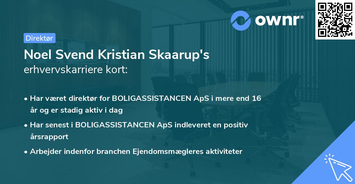 Noel Svend Kristian Skaarup's erhvervskarriere kort