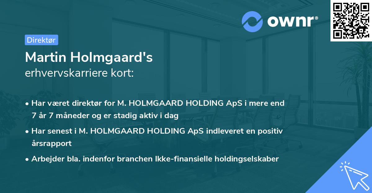 Martin Holmgaard's erhvervskarriere kort