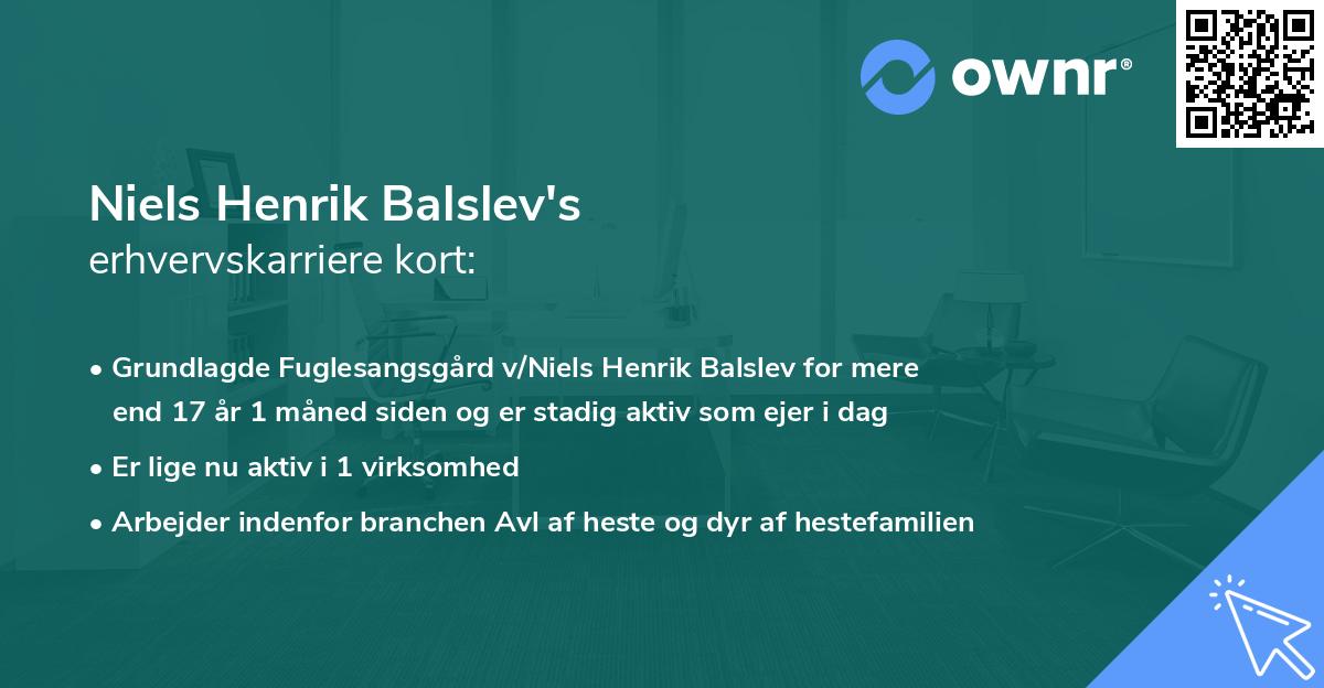 Niels Henrik Balslev's erhvervskarriere kort