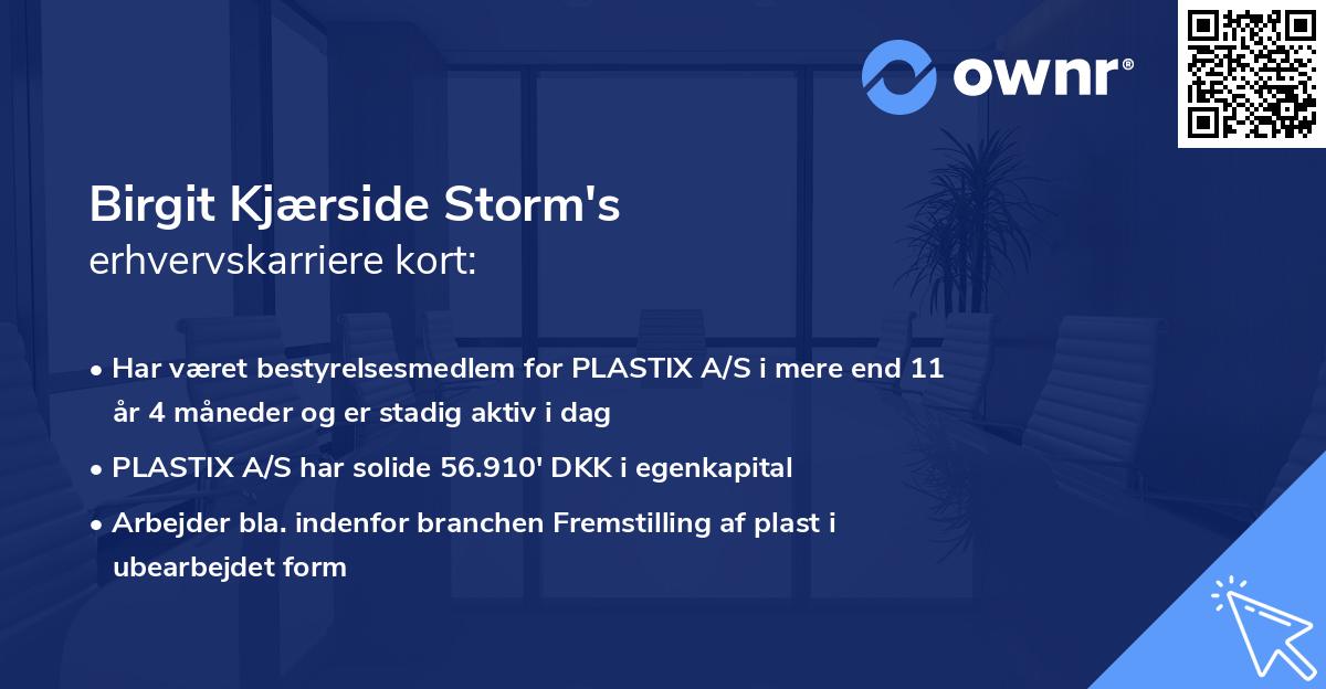 Birgit Kjærside Storm's erhvervskarriere kort