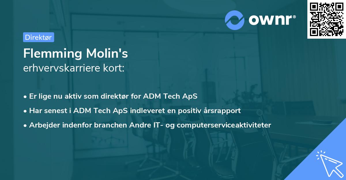 Flemming Molin's erhvervskarriere kort