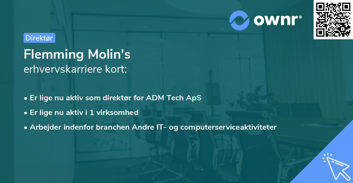 Flemming Molin's erhvervskarriere kort