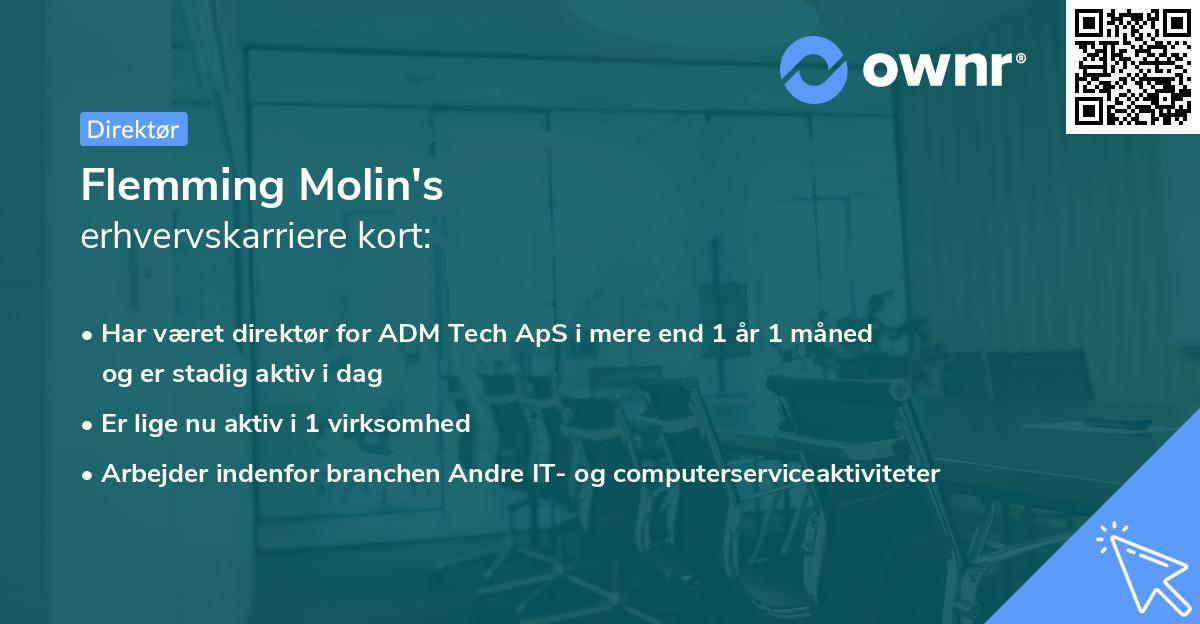 Flemming Molin's erhvervskarriere kort