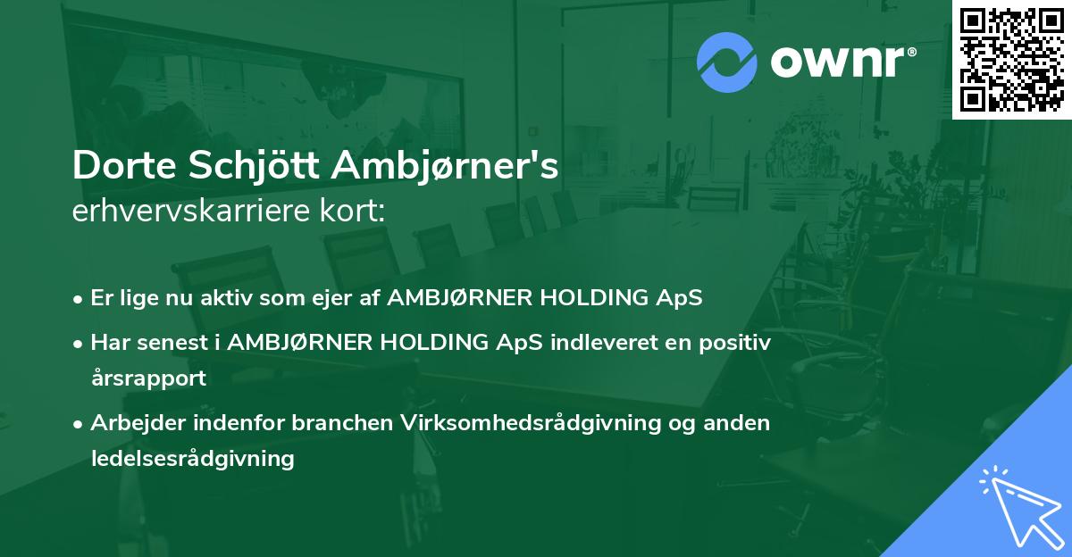 Dorte Schjött Ambjørner's erhvervskarriere kort