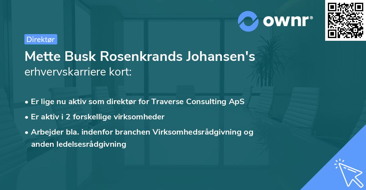 Mette Busk Rosenkrands Johansen's erhvervskarriere kort