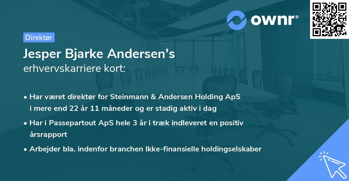 Jesper Bjarke Andersen's erhvervskarriere kort