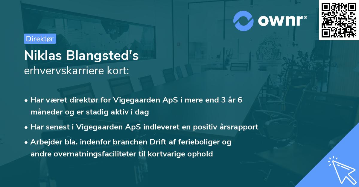 Niklas Blangsted's erhvervskarriere kort