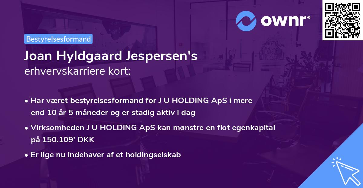 Joan Hyldgaard Jespersen's erhvervskarriere kort
