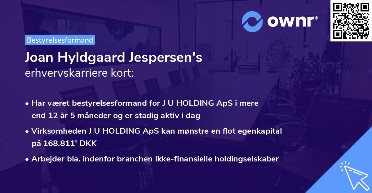 Joan Hyldgaard Jespersen's erhvervskarriere kort