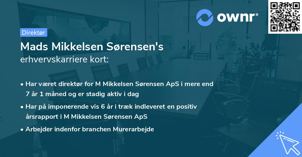 Mads Mikkelsen Sørensen's erhvervskarriere kort