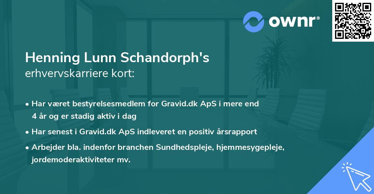 Henning Lunn Schandorph's erhvervskarriere kort