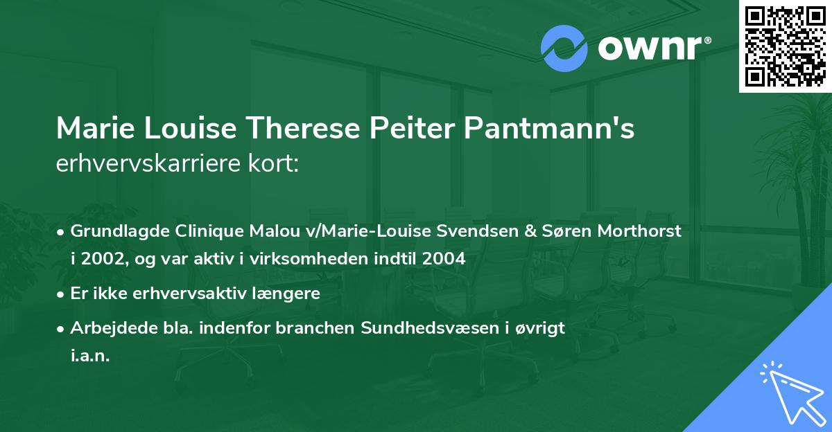 Marie Louise Therese Peiter Pantmann's erhvervskarriere kort