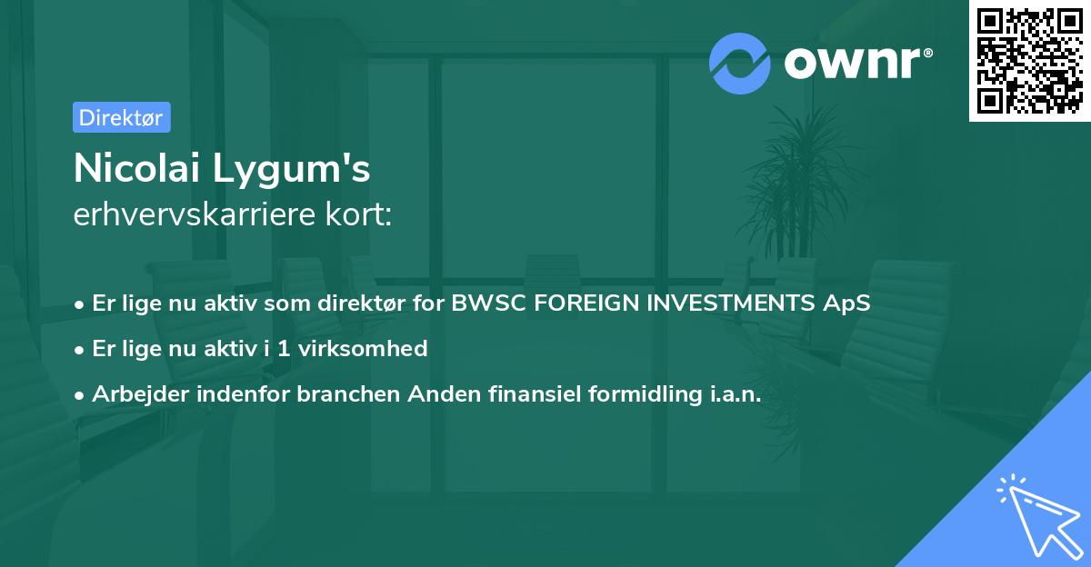 Nicolai Lygum's erhvervskarriere kort