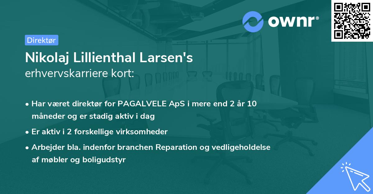 Nikolaj Lillienthal Larsen's erhvervskarriere kort