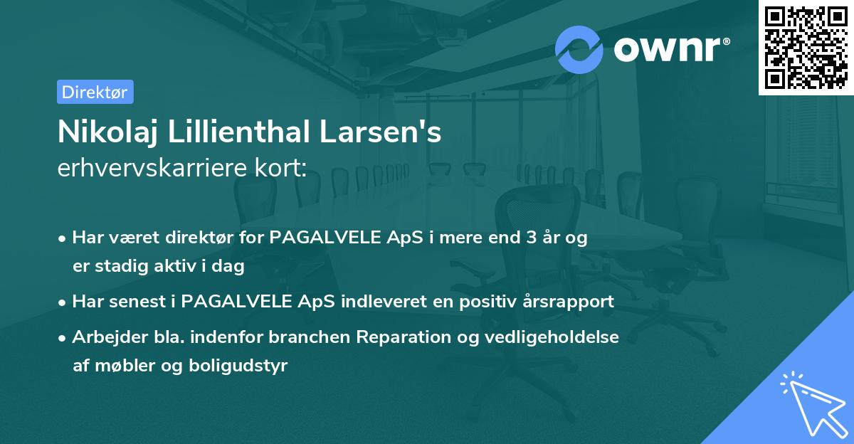 Nikolaj Lillienthal Larsen's erhvervskarriere kort