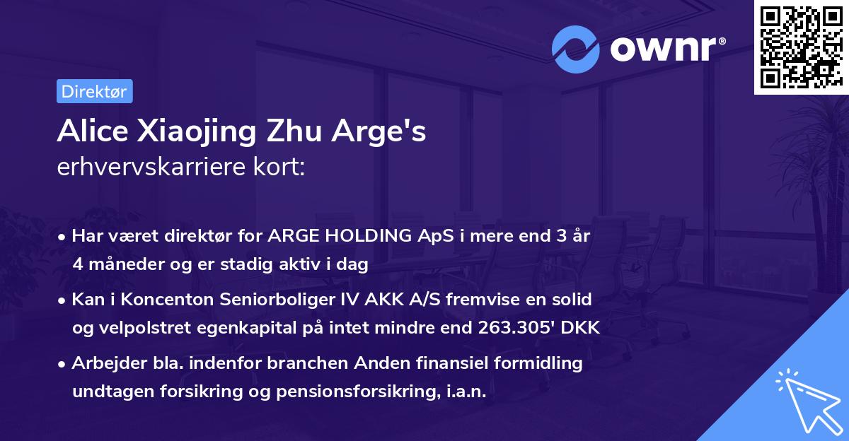 Alice Xiaojing Zhu Arge's erhvervskarriere kort