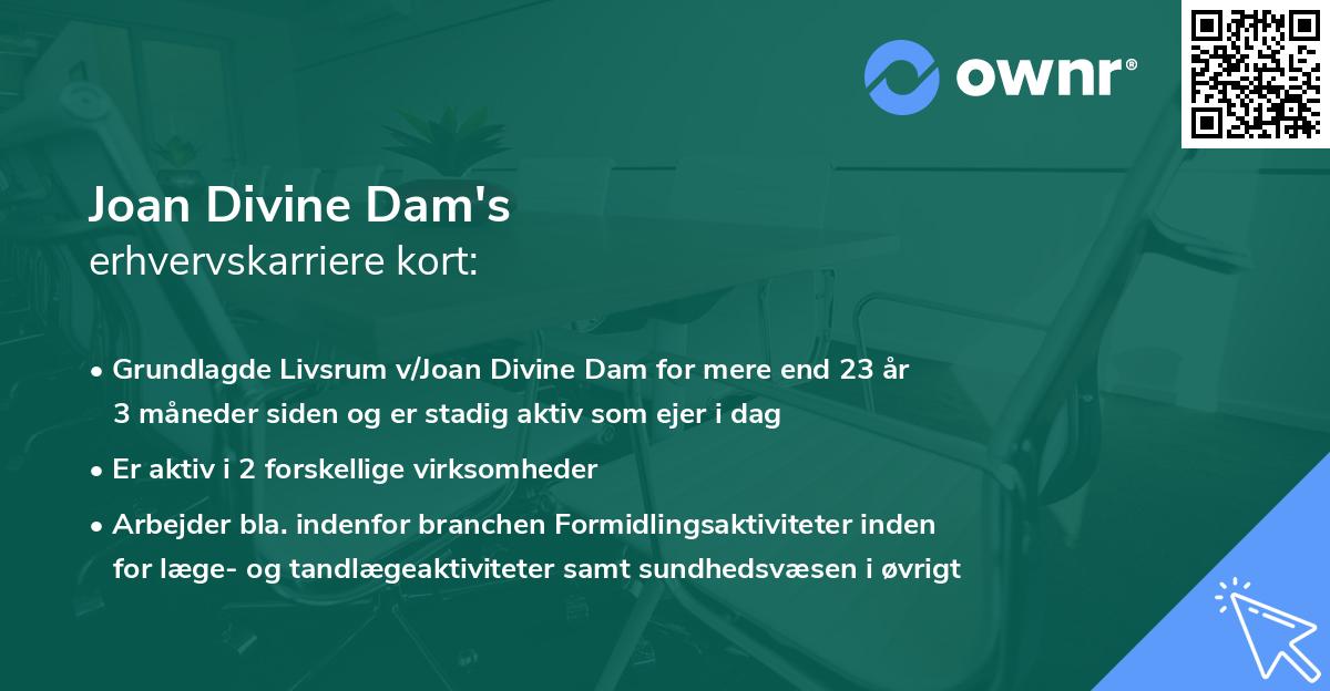 Joan Divine Dam's erhvervskarriere kort